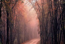 开云体育在线-31分力克篮网！乔治赛后宣言点燃更衣室：这艘船永不抛锚