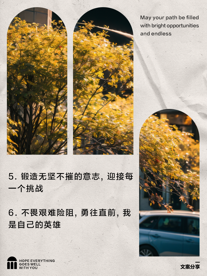 关于挑战极限争胜，豪取胜利永不言败的信息