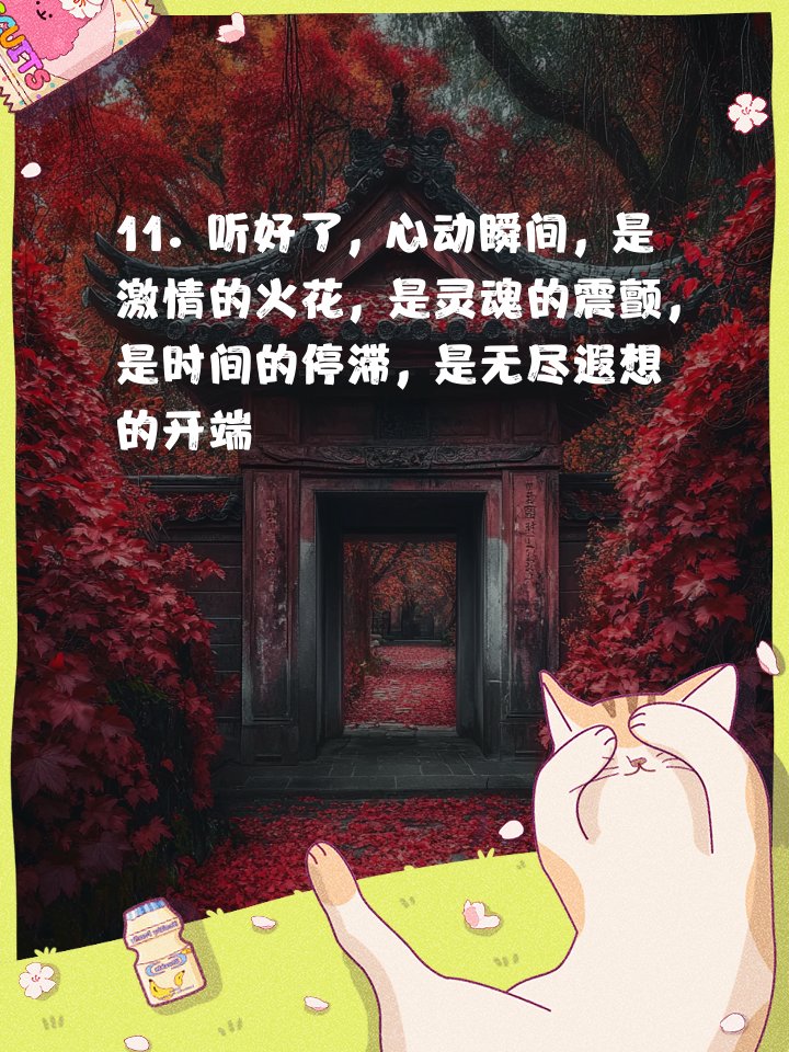关于激情四溢，胜者为王，竞技风云的信息