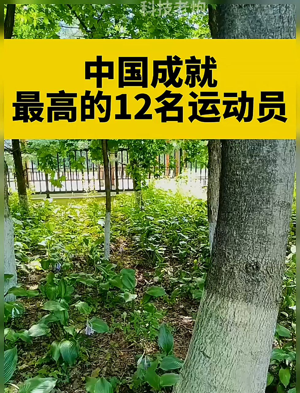 运动员的特异技能收获赞誉，体育界备受瞩目的简单介绍