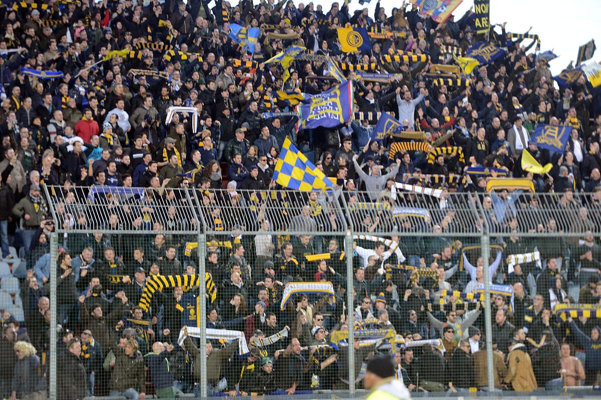 爵士大胜骑士，西部强队势不可挡