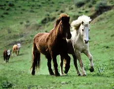 开云平台-关于马竞获平局！西蒙尼心如明镜水澈的信息