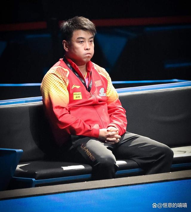 瑞典队绝杀德国队，王皓惊艳四座的简单介绍