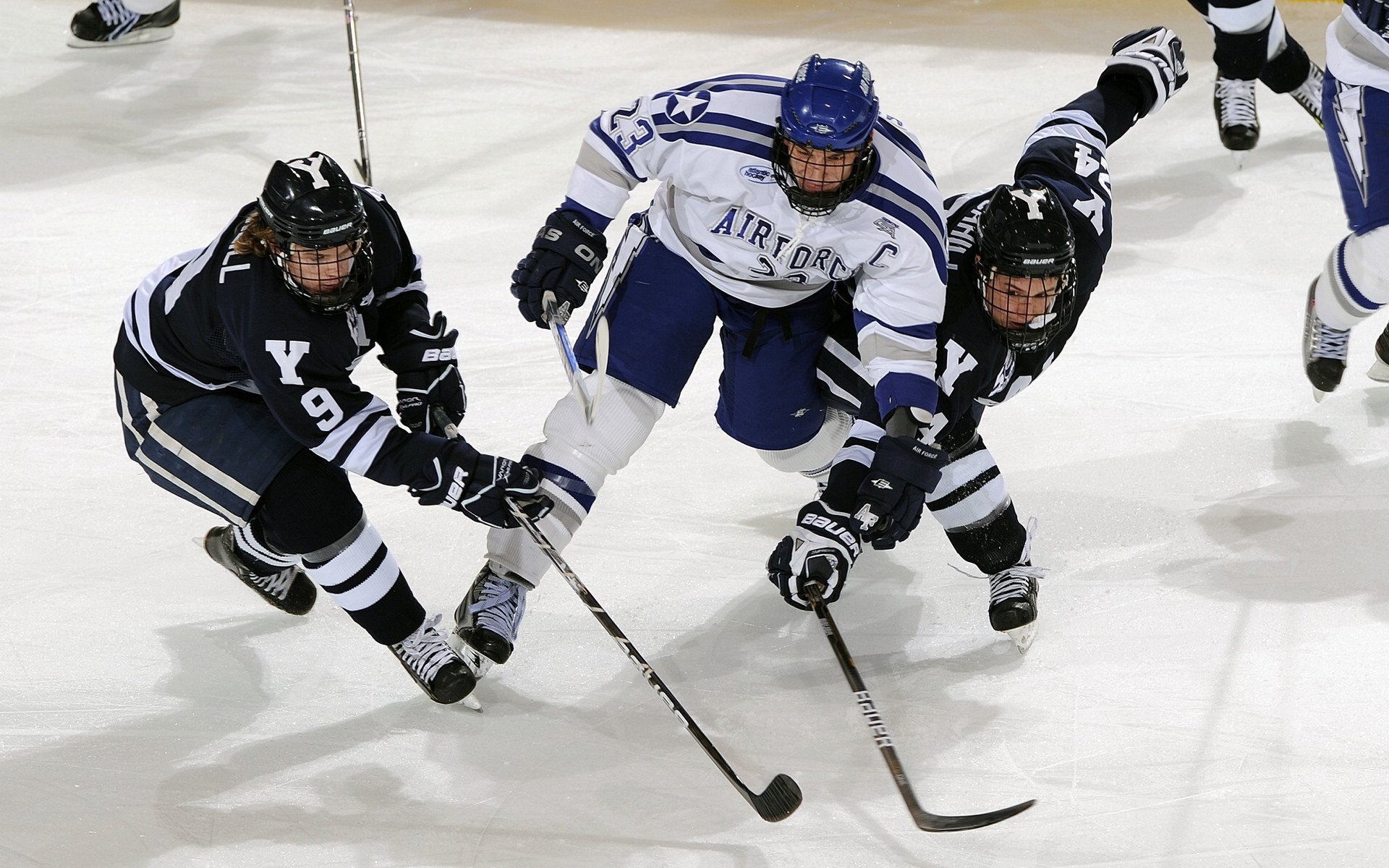 玫瑰在荆棘中绽放,威廉姆斯逆袭记与皮亚斯特里的时代宣言